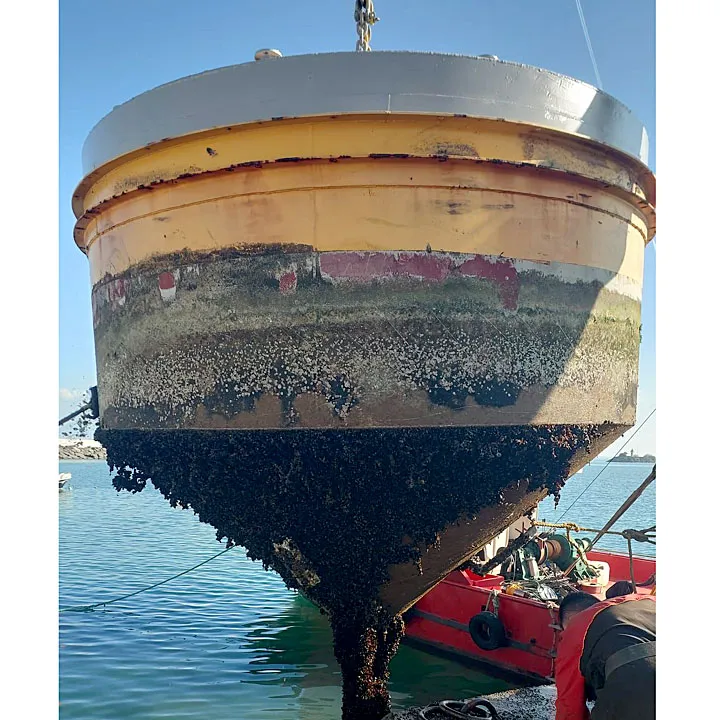 şamandıra bakımı