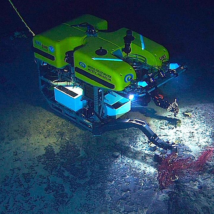 rov 2